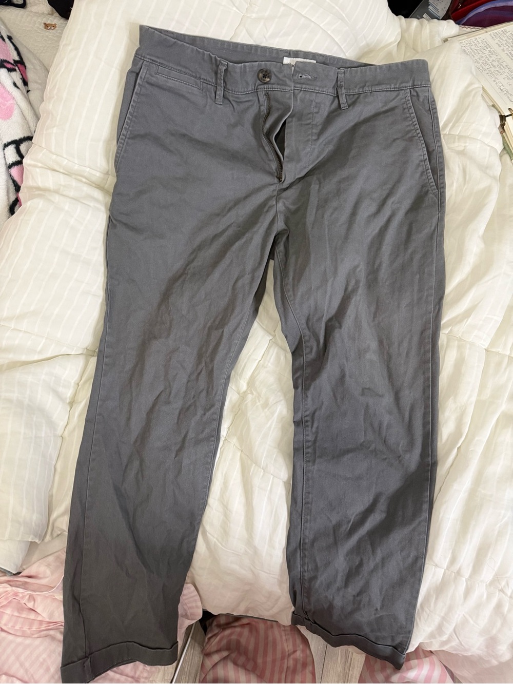 Goodfellow Men's Gray Pants